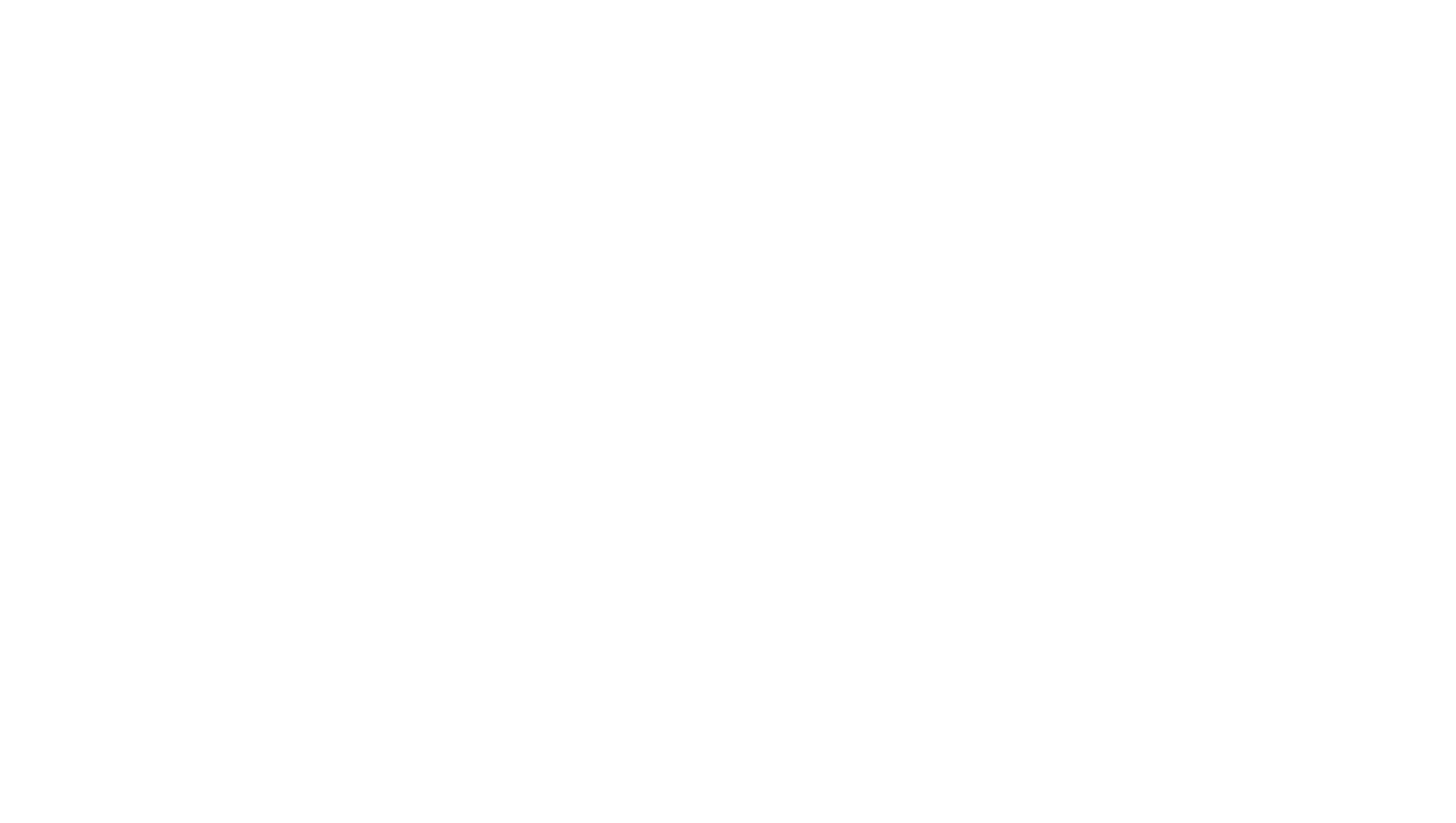 NMA logo landscape white